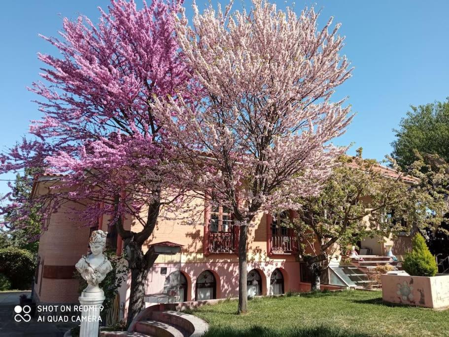 Finca Denunez Villa La Mata  Buitenkant foto